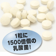 1粒に1500億個の乳酸菌がつまっています